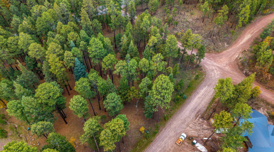 Parcel10172074-AlpineAZ-6