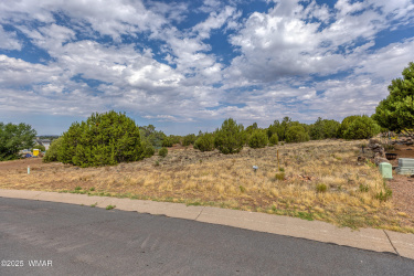 2200 Rockgarden Lane, Show Low, Arizona 85901, ,Land,For Sale,Rockgarden,257739