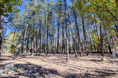 040C VALLERY Lane, Lakeside, Arizona 85929, ,Land,For Sale,VALLERY,257747