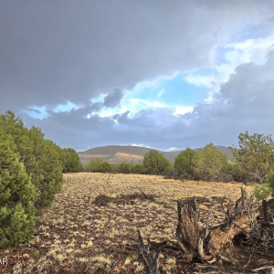 Pinon Valley Lot 9