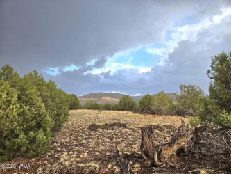 Lot 9 Pinon Valley Ranch, Concho, Arizona 85924, ,Land,For Sale,Pinon Valley Ranch,257750