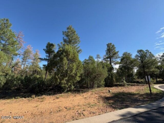 2100 Whispering Springs, Show Low, Arizona 85901, ,Land,For Sale,Whispering,257754