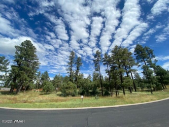 2300 Whispering Springs Trail, Show Low, Arizona 85901, ,Land,For Sale,Whispering Springs,257751