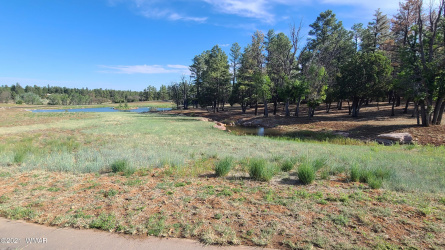 2221 Edgewater, Show Low, Arizona 85901, ,Land,For Sale,Edgewater,257752