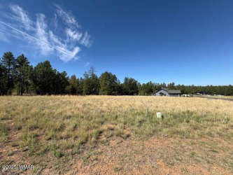 2201 Edgewater, Show Low, Arizona 85901, ,Land,For Sale,Edgewater,257753