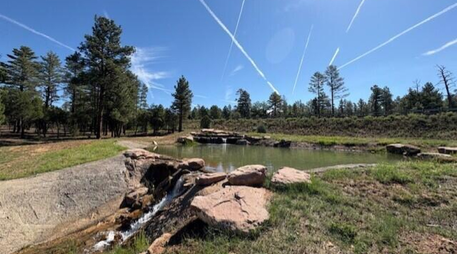 Water Feature Nearby