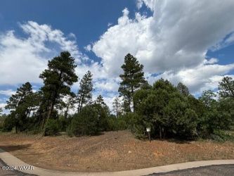 1541 Braden Court, Show Low, Arizona 85901, ,Land,For Sale,Braden,257755
