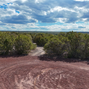 DJI_20250828153357_0060_D