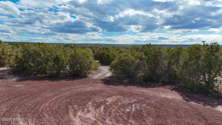 1828 &1830 Daggs Street, Show Low, Arizona 85901, ,Land,For Sale,Daggs,257761