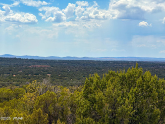 0 WEBER RD. LOT A 5 ACRES, Show Low, Arizona 85901, ,Land,For Sale,WEBER RD. LOT A 5 ACRES,257768