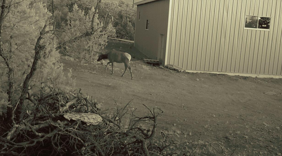 Happy Jack-Mogollon Ranch-Real Estate Ad