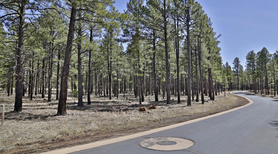 9579 Sierra Springs Dr.