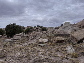 TBD 9326, Concho, Arizona 85924, ,Land,For Sale,9326,257780