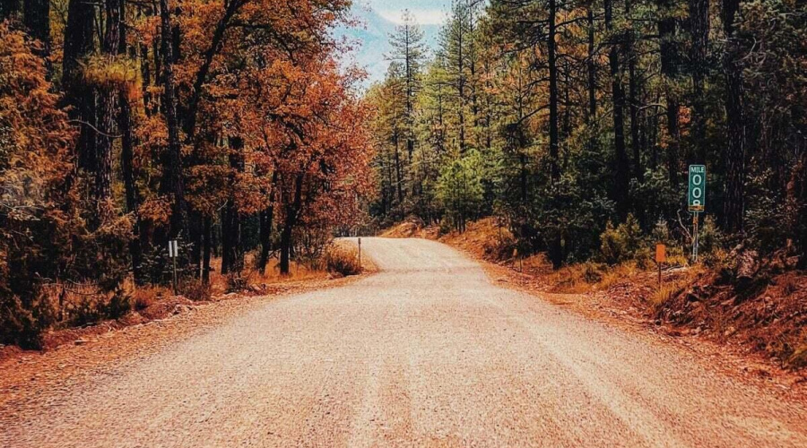 20241003213418630097000000-o