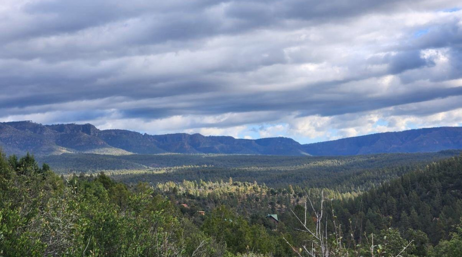 20241003175945962247000000-o