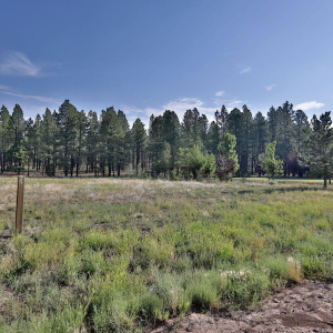 9592 Sierra Springs Dr