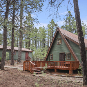 Freshly Painted Cabin/Garage