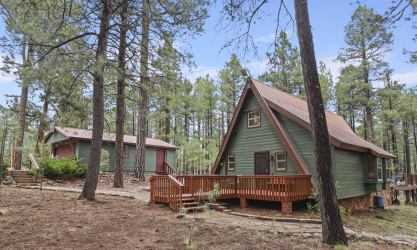 1988 Tall Trees Loop, Forest Lakes, Arizona 85931, Bedrooms, ,Bathrooms,Residential,For Sale,Tall Trees,92794