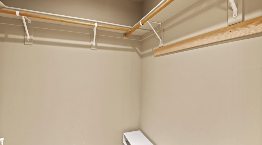 Downstairs 2nd Primary Bedroom Closet