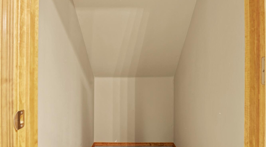 Closet under the stairs
