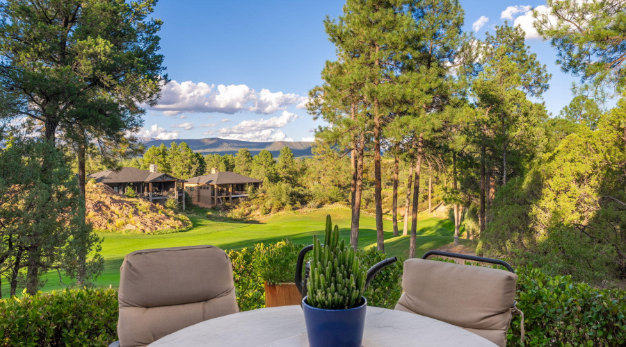 2202 E Feather Plume Ln - 38