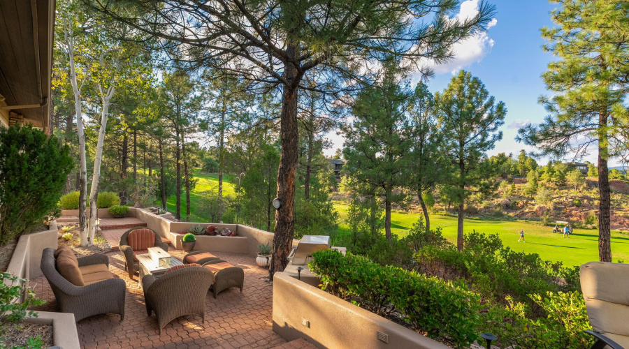 2202 E Feather Plume Ln - 39