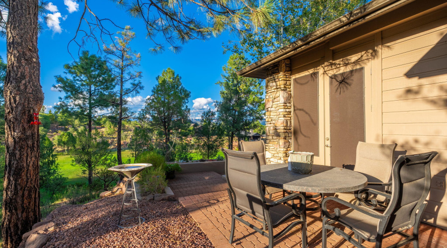 2202 E Feather Plume Ln - 45