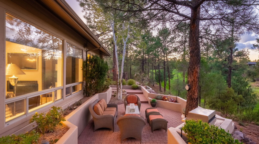 2202 E Feather Plume Ln - 55