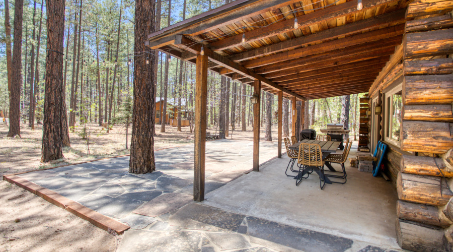 Paxmanphoto_PAX_0683