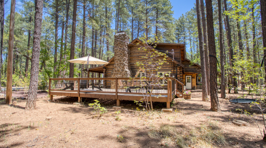 Paxmanphoto_PAX_0695