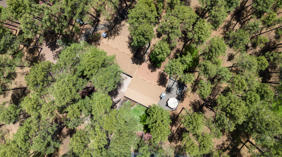 DJI_20250528123638_0322_D-HDR