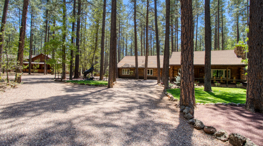 Paxmanphoto_PAX_0678