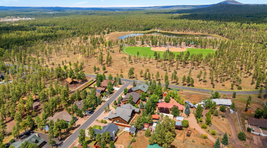 Beautifully treed area