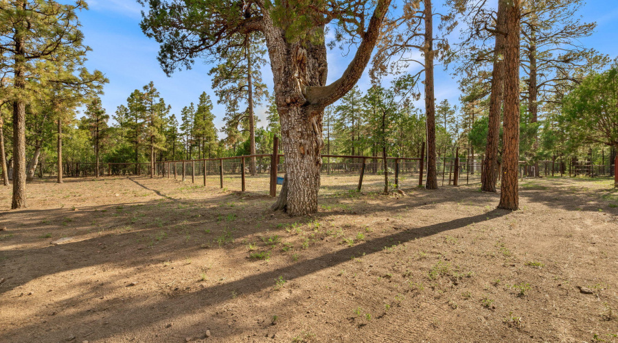 2710HooksWay-Heber-AZ-27