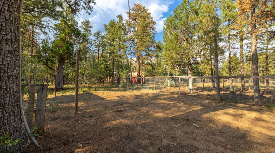 2710HooksWay-Heber-AZ-Extras-4
