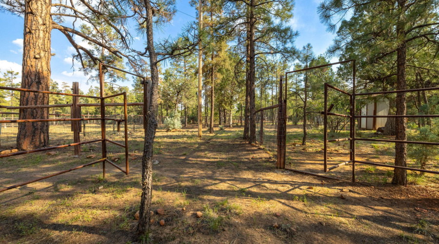 2710HooksWay-Heber-AZ-Extras-5