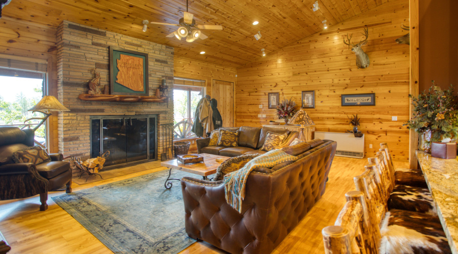 Living Area and Fireplace