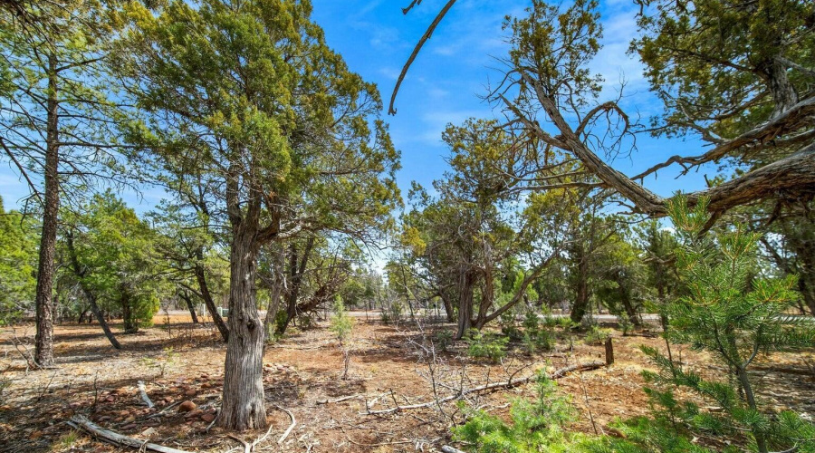 20250409154839305139000000-o