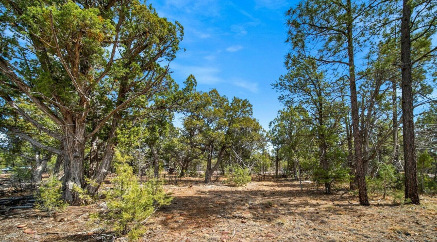 20250409154844725042000000-o