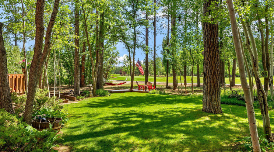 6503BuckSpringsPl-Pinetop-AZ-38
