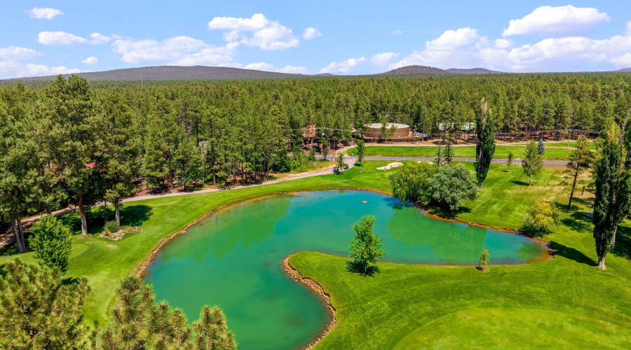 6503BuckSpringsPl-Pinetop-AZ-43