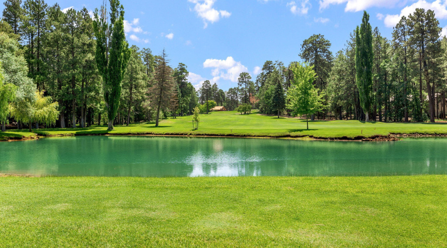 6503BuckSpringsPl-Pinetop-AZ-39