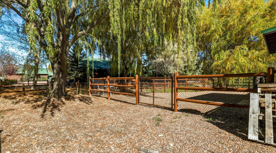 2348 S Buffalo Loop-OvergaardAZ-29