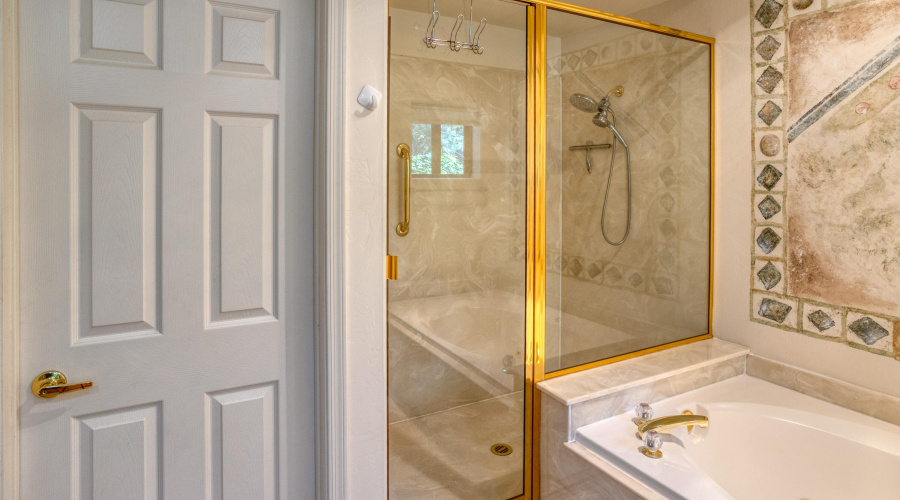 Master Bath Shower