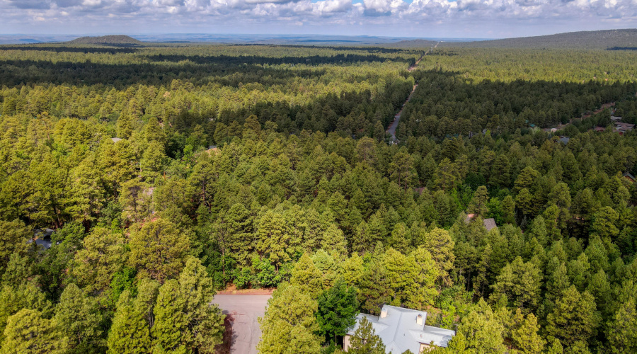 Aerial View of the Home