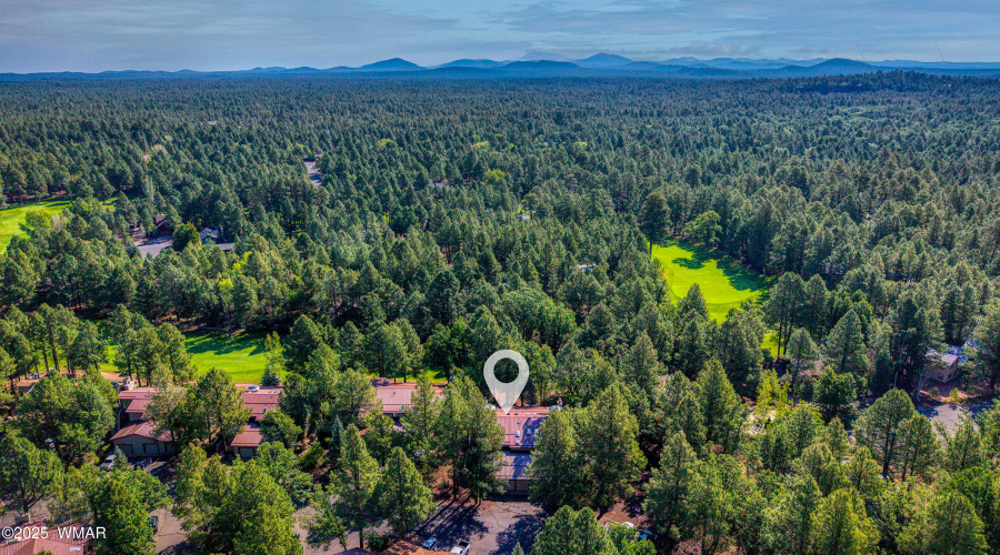 002_photo3_3723_crown_dancer_dr._pt_kari