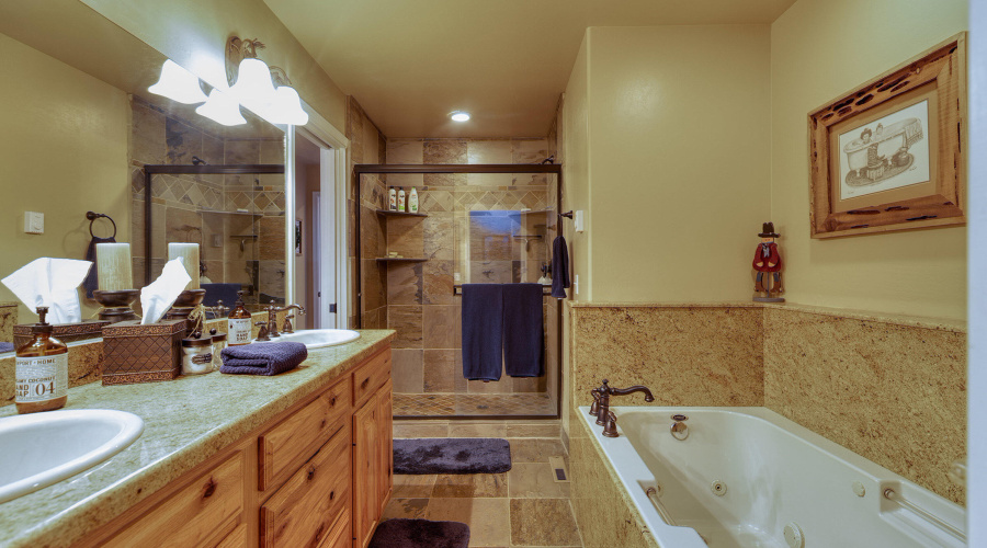 Downstairs Guest Bath