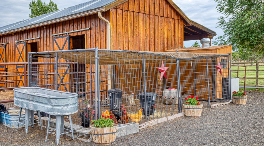 Chicken Coop