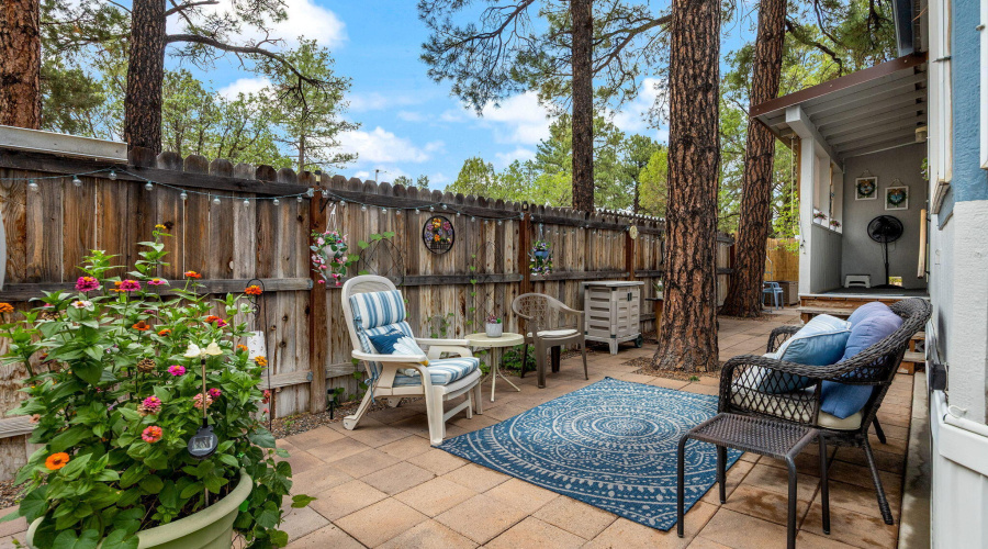 Fully fenced back yard