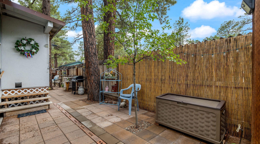 Fully fenced back yard